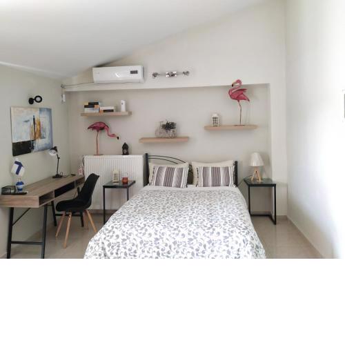 Vacations in Patra Rooms