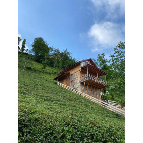 Vadi dağ evi bungalov
