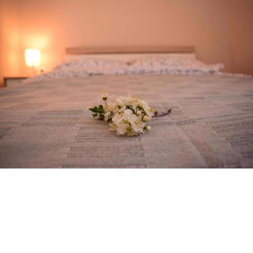 Vadszőlő Apartman