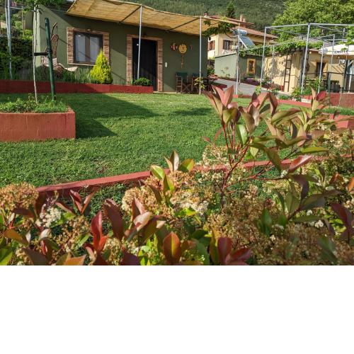 Valena's house