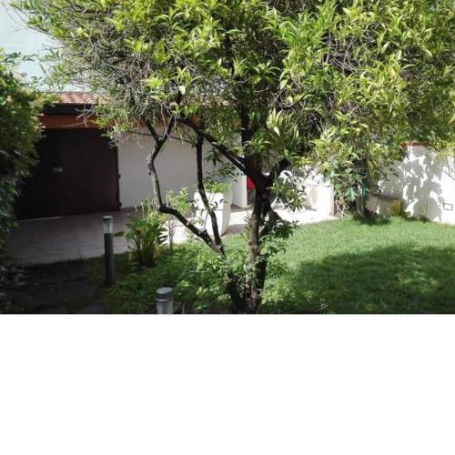 Vale’s Garden Flat