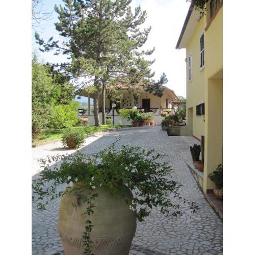 Valle degli Ulivi