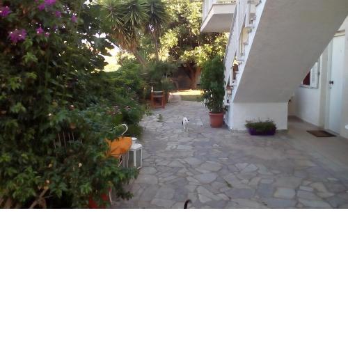 Vasiliki Apartments