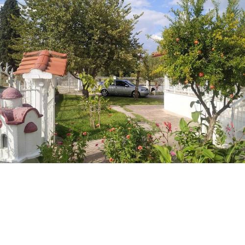 Vasiliki's guest house
