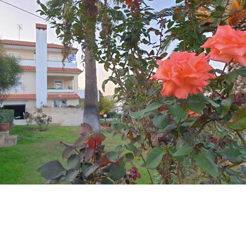Vaso's country house near the beach and airport