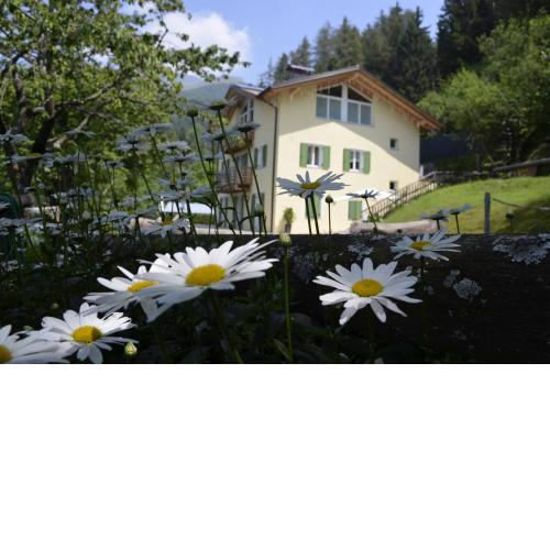 Vello d'Arco a quota 1000 mt