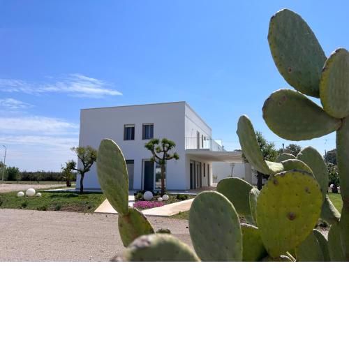 Verde Blu Vacanze