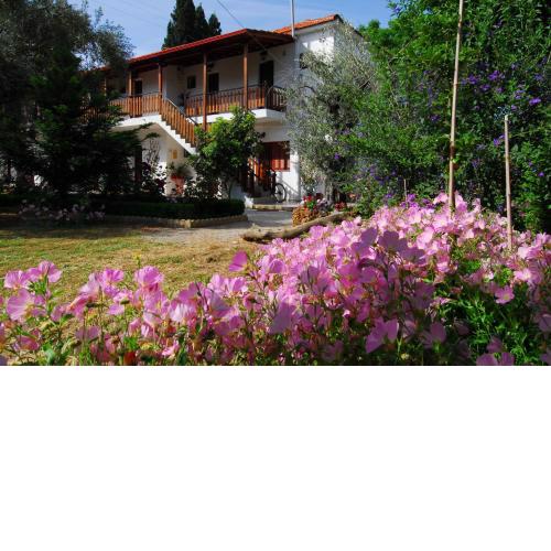 Vergonis Studios