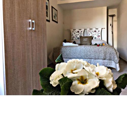 Vesuvio House appartamento indipendente e centrale