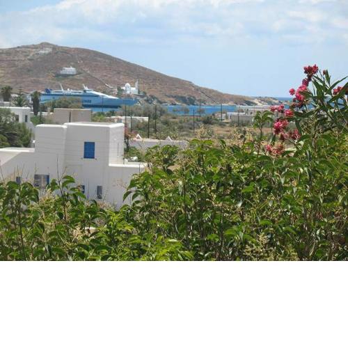 Vesuvio Kampos