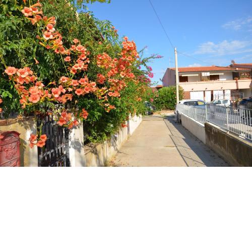 Via Delle Ginestre - FPO-GINEBIG - GINELIT