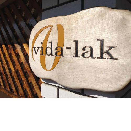 Vida-lak