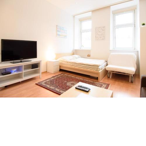 Vienna Living Apartments-Dampfgasse