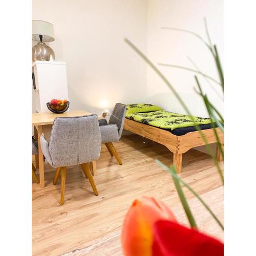 Vienna Senator Flat Paulusgasse 6