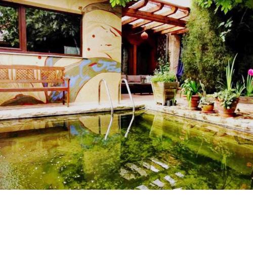 Viento de Ladera PISCINA NATURAL y JACUZZI EXT