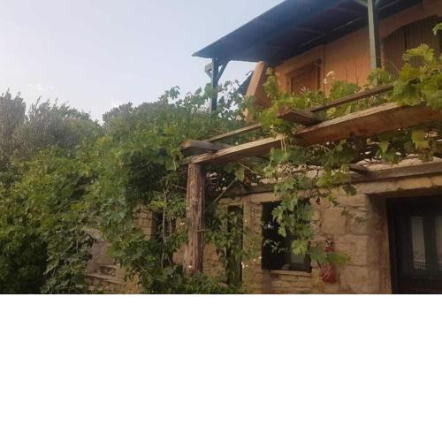 Vigla Apartment Leros