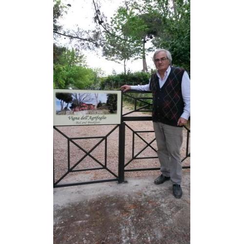 Vigna dell'Agrifoglio - Bed and Breakfast
