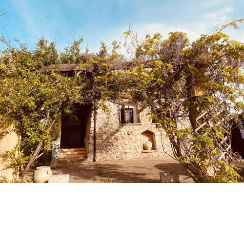 VIGNA VECCHIA