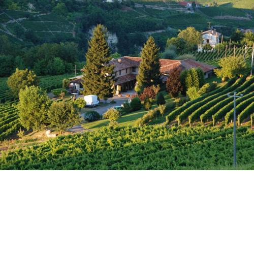 Vigneti in Ca' D'Gal