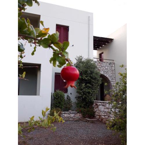 Vilana Studios