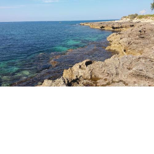 Villa A DUE PASSI DAL MARE