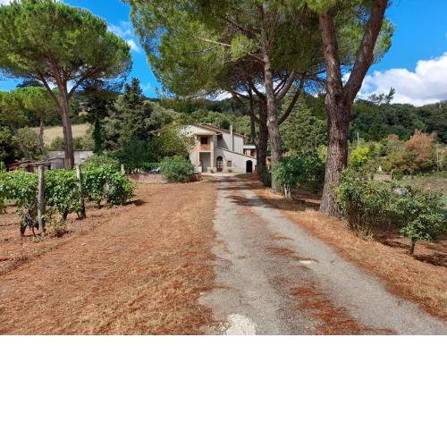 Villa Adelmo
