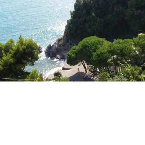 villa albori