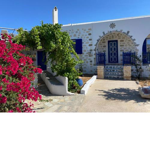 Villa Ambelas - Traditional House