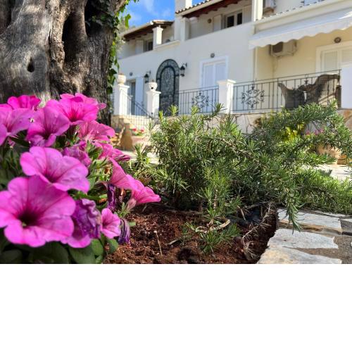 Villa Ampelaki 2