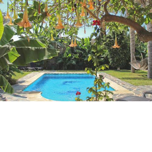 Villa Andaluza jacuzzi piscina palmeras Nerja