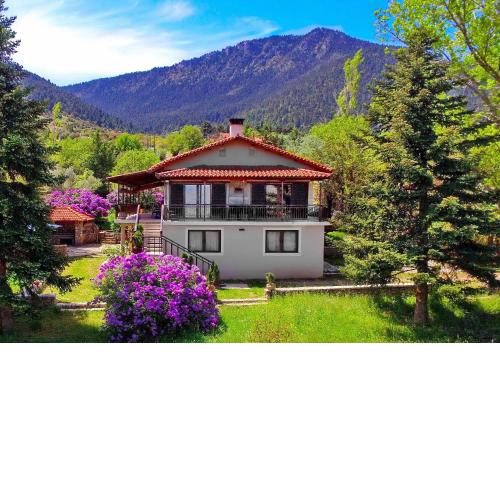 VILLA ARCADIA - Mainalon escape