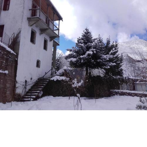 Villa Artemis and apartments