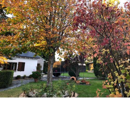 Villa Aurelia - Casa de campo con jardín y piscina entre Madrid y Segovia