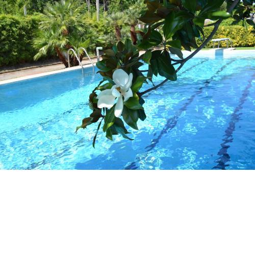 Villa Aurora