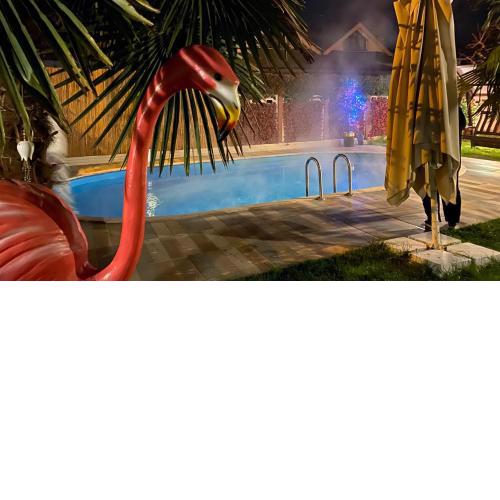 Villa Bade sıcak havuzlu