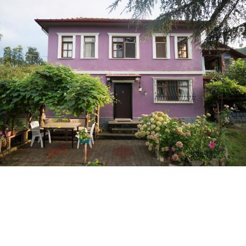 Villa Banizo Great Black Sea View Village House