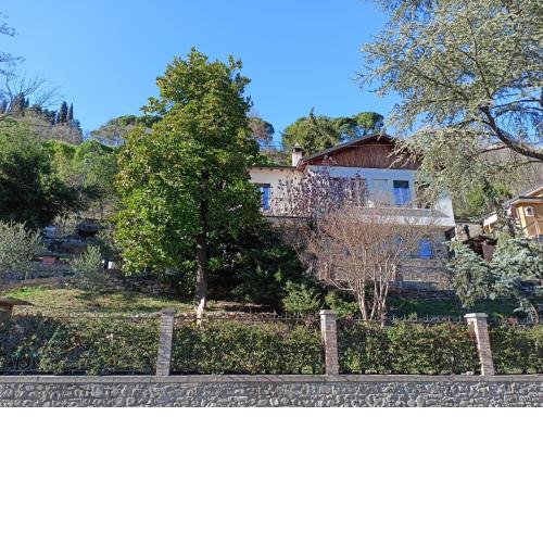 Villa Bersani