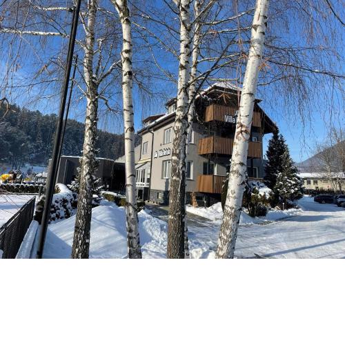 Villa Betula Resort & Camping