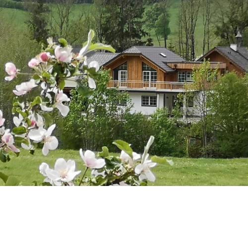 Villa Birgitta Apartment Stoderzinken plus