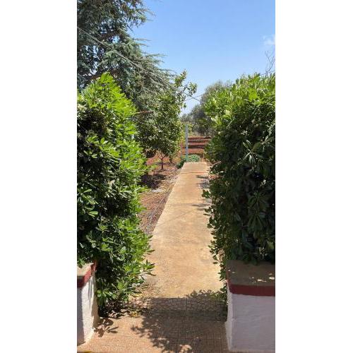 Villa Blanca