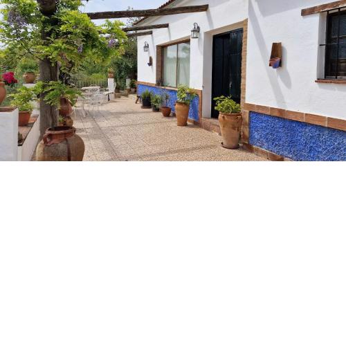 Villa Botero