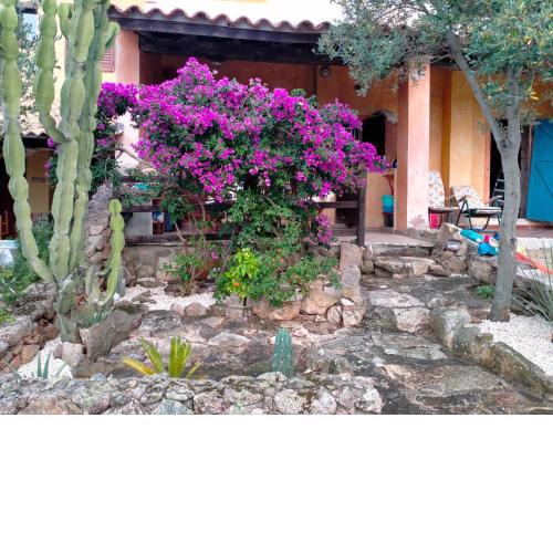 Villa bouganville splendido appartamento