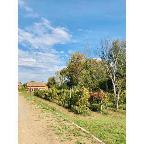 Villa Bubù, Appartamento Country-chic