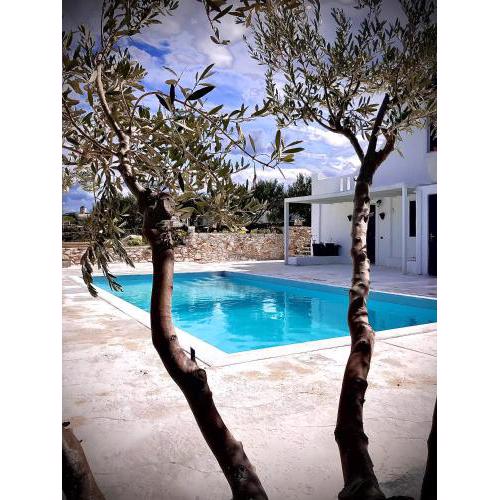 Villa Calm House