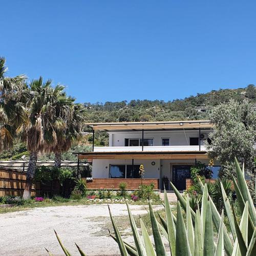 Villa Camelion