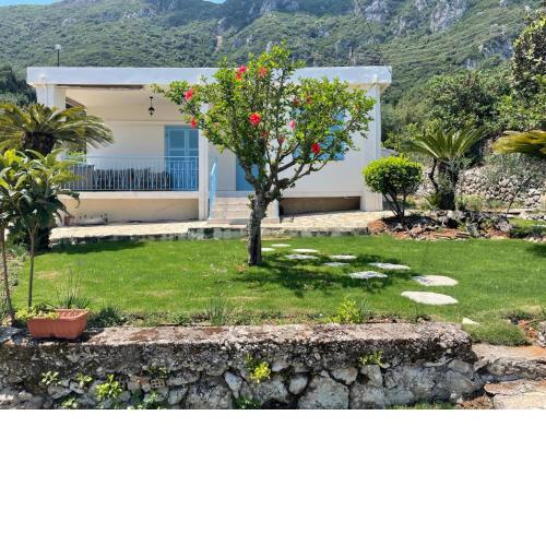 VILLA CARA