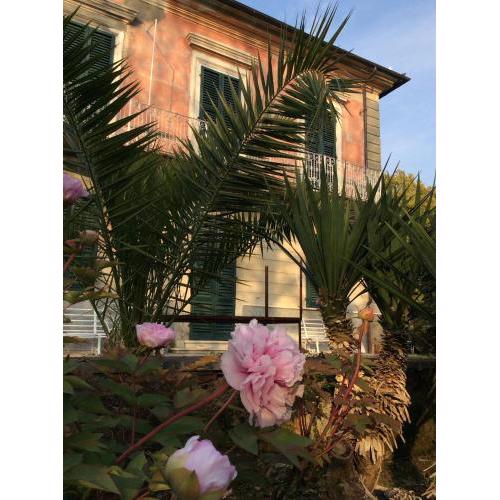 Villa Carlotta
