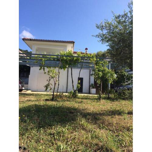 Villa Carmela
