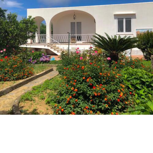 Villa Catenacci Anacapri