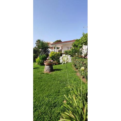 Villa Cettina